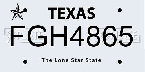 FGH4865 Texas License Plate