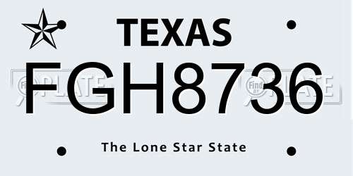 FGH8736 Texas License Plate