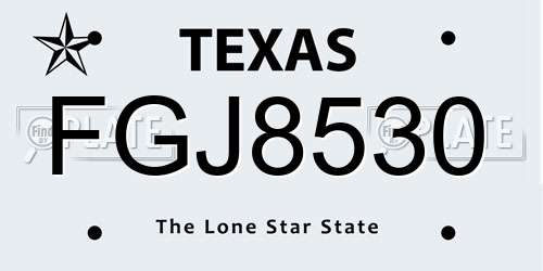 FGJ8530 Texas License Plate