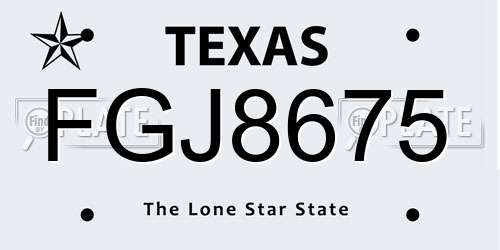 FGJ8675 Texas License Plate