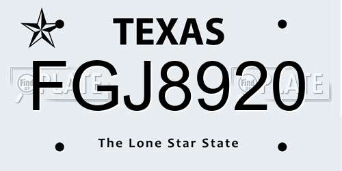 FGJ8920 Texas License Plate
