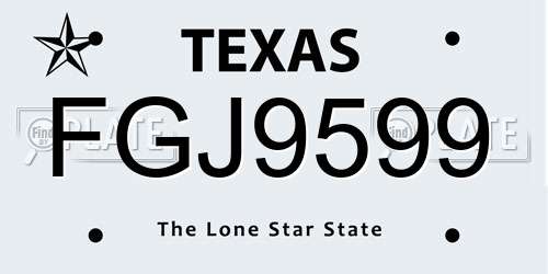 FGJ9599 Texas License Plate