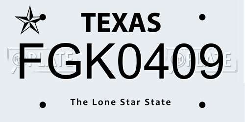 FGK0409 Texas License Plate