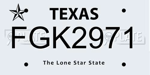 FGK2971 Texas License Plate