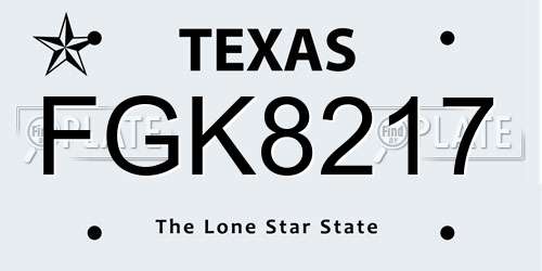FGK8217 Texas License Plate