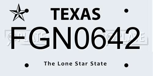 FGN0642 Texas License Plate
