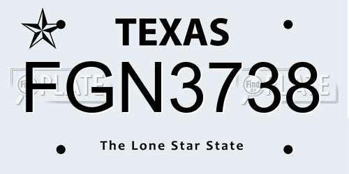 FGN3738 Texas License Plate