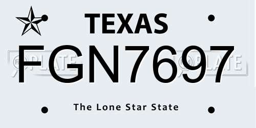 FGN7697 Texas License Plate