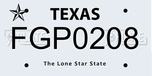 FGP0208 Texas License Plate