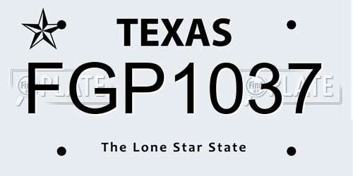 FGP1037 Texas License Plate