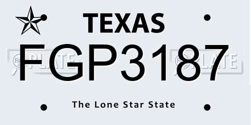FGP3187 Texas License Plate