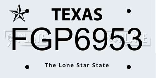 FGP6953 Texas License Plate
