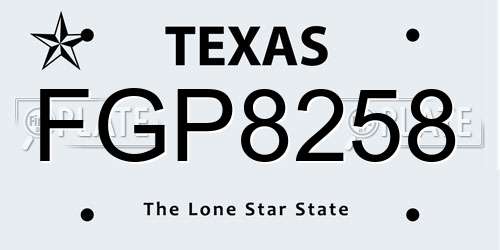 FGP8258 Texas License Plate
