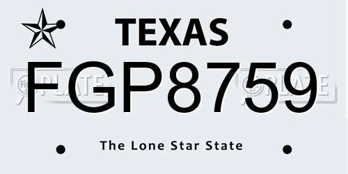 FGP8759 Texas License Plate