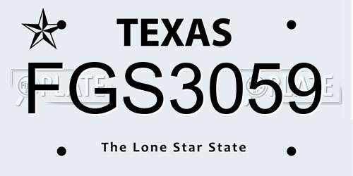 FGS3059 Texas License Plate
