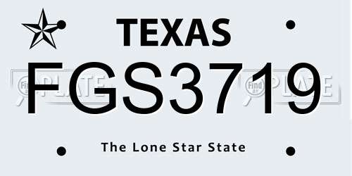 FGS3719 Texas License Plate