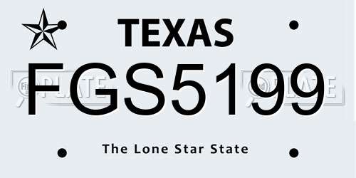 FGS5199 Texas License Plate