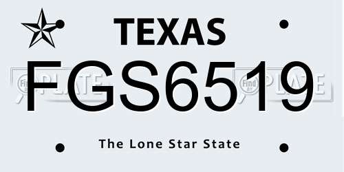 FGS6519 Texas License Plate