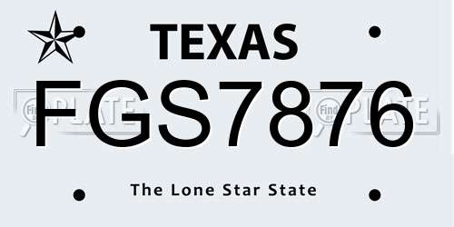 FGS7876 Texas License Plate