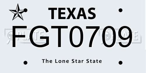 FGT0709 Texas License Plate