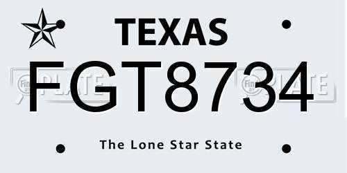 FGT8734 Texas License Plate