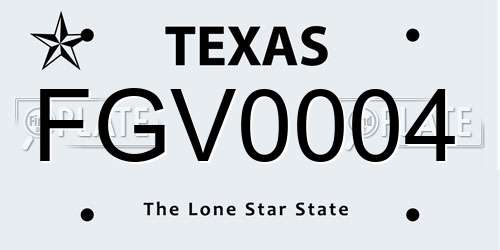 FGV0004 Texas License Plate