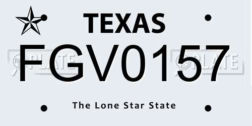 FGV0157 Texas License Plate