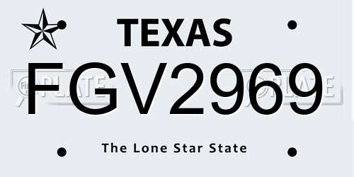 FGV2969 Texas License Plate