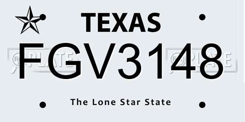 FGV3148 Texas License Plate