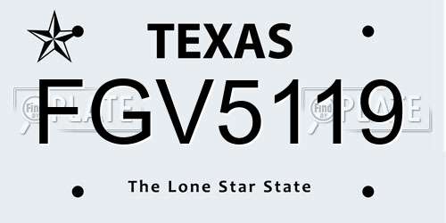FGV5119 Texas License Plate