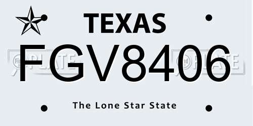 FGV8406 Texas License Plate