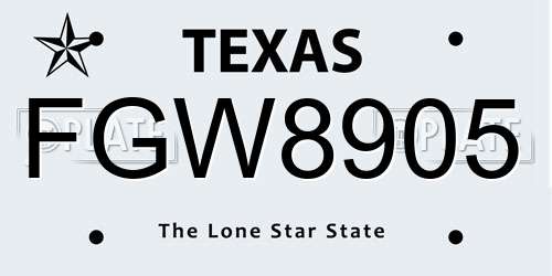 FGW8905 Texas License Plate