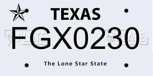 FGX0230 Texas License Plate