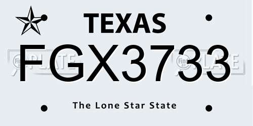 FGX3733 Texas License Plate