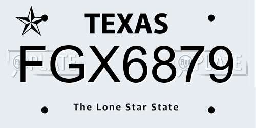 FGX6879 Texas License Plate