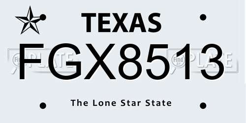 FGX8513 Texas License Plate