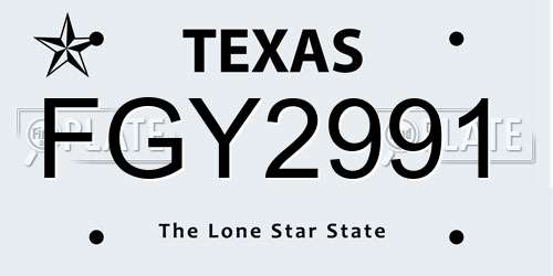 FGY2991 Texas License Plate