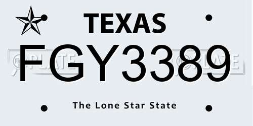 FGY3389 Texas License Plate