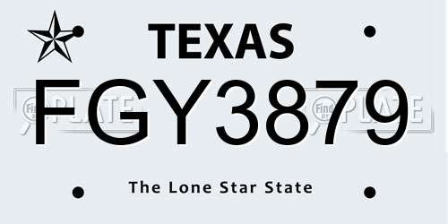 FGY3879 Texas License Plate