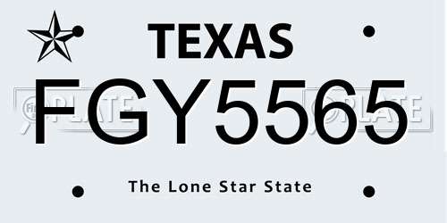 FGY5565 Texas License Plate