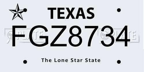 FGZ8734 Texas License Plate
