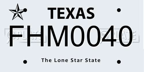 FHM0040 Texas License Plate