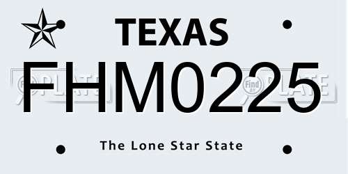 FHM0225 Texas License Plate