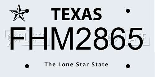 FHM2865 Texas License Plate