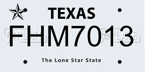 FHM7013 Texas License Plate
