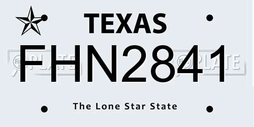 FHN2841 Texas License Plate