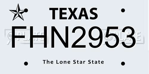 FHN2953 Texas License Plate