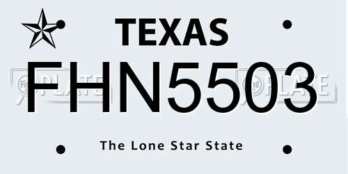 FHN5503 Texas License Plate