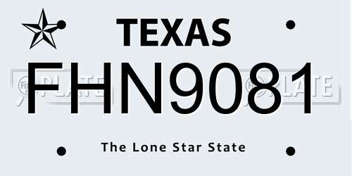 FHN9081 Texas License Plate