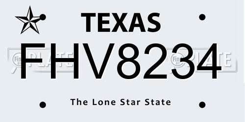 FHV8234 Texas License Plate